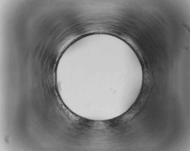 X0000102270807200808011426