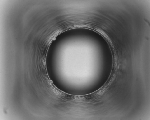 X0000102270809200808011426