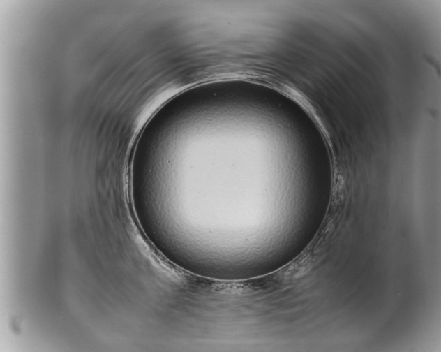 X0000102270811200808011426