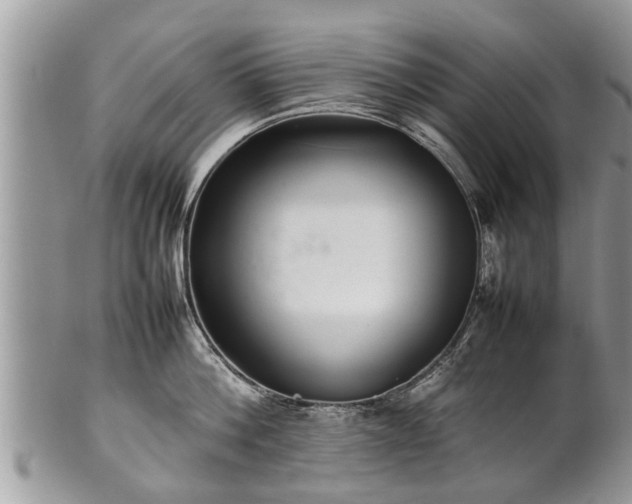 X0000102270812200808011426
