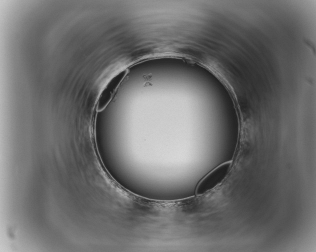 X0000102270813200808011426