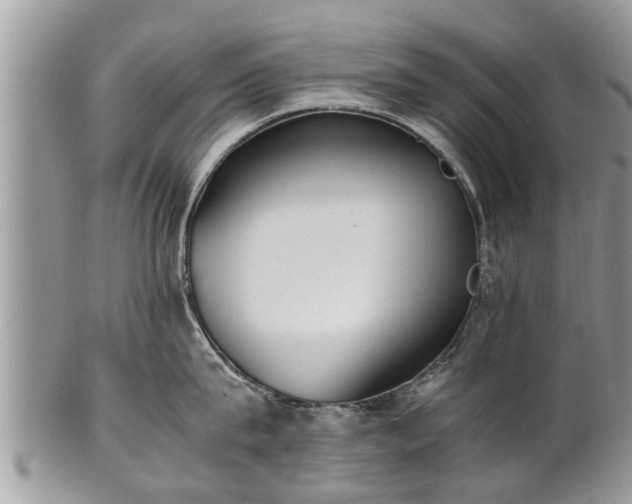 X0000102270815200808011426