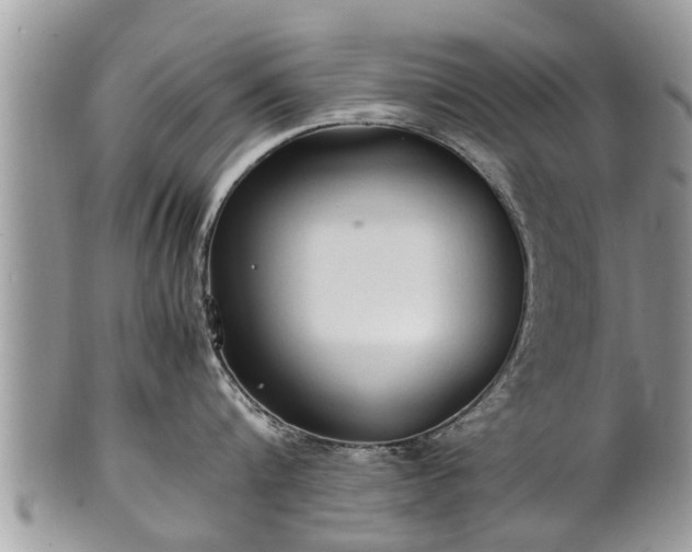 X0000102270816200808011426