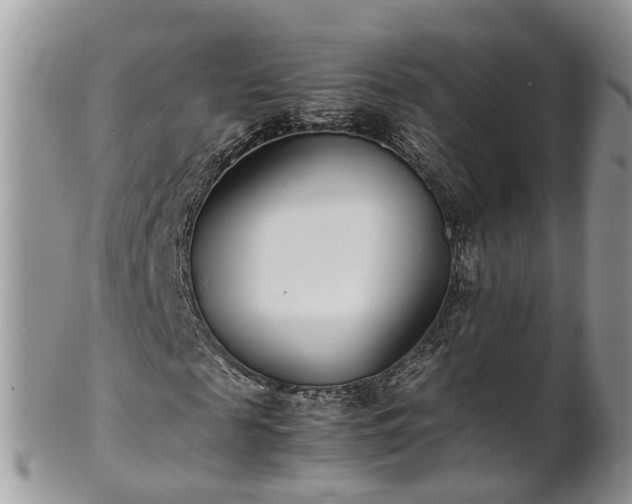 X0000102270817200808011425