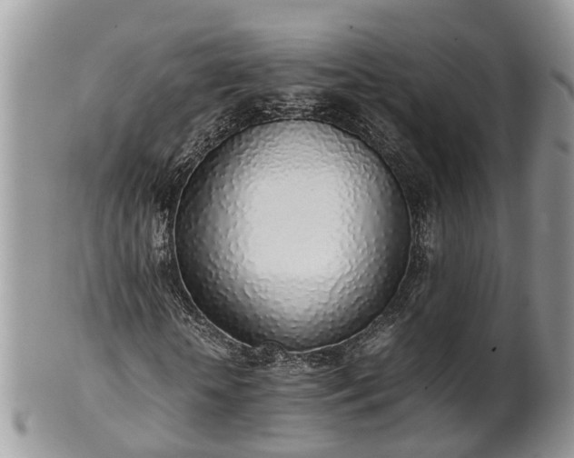 X0000102270818200808011425