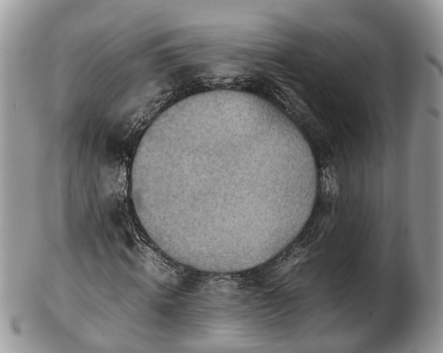 X0000102270820200808011425