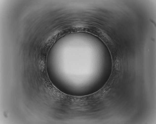 X0000102270821200808011425