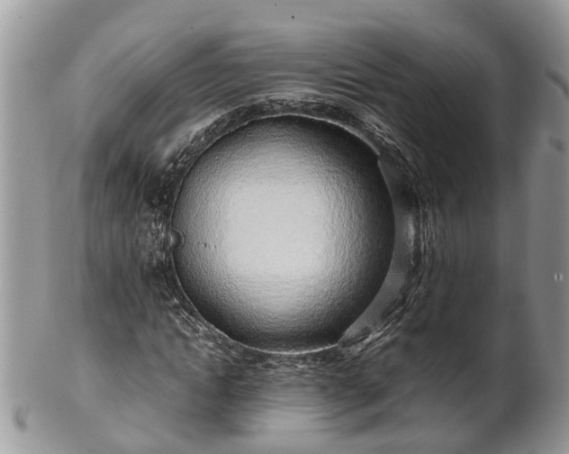 X0000102270822200808011425