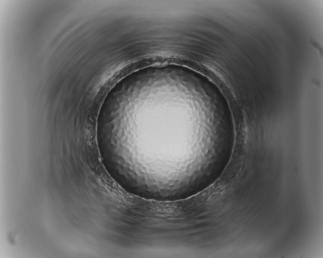 X0000102270823200808011425