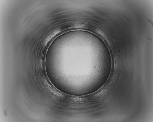 X0000102270827200808011425