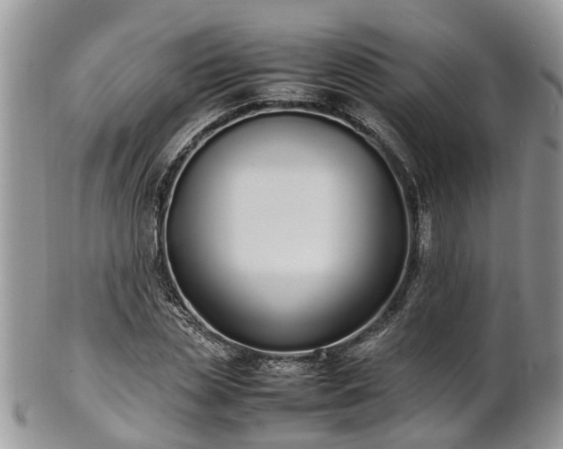 X0000102270829200808011425
