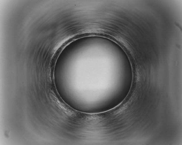 X0000102270830200808011425