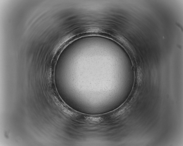 X0000102270831200808011425