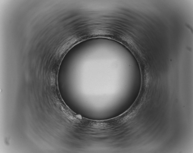 X0000102270833200808011425