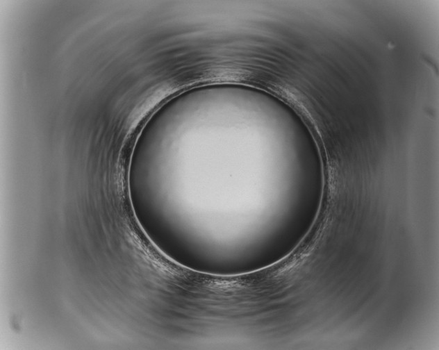 X0000102270835200808011425