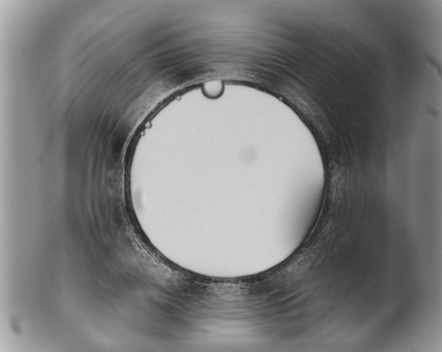 X0000102270836200808011425