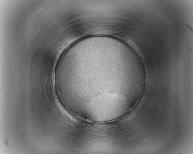 X0000102270840200808011425