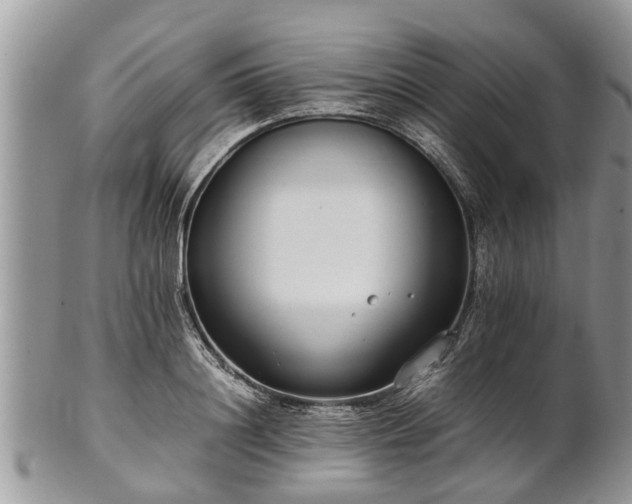 X0000102270844200808011426