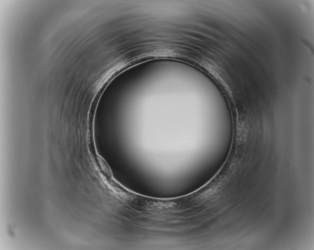 X0000102270845200808011426