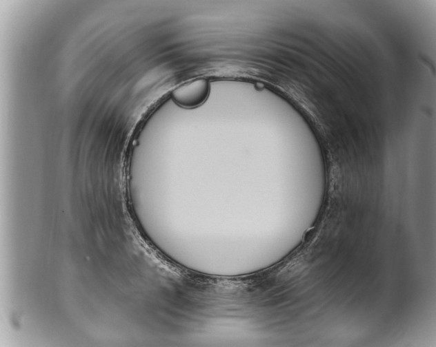 X0000102270848200808011426