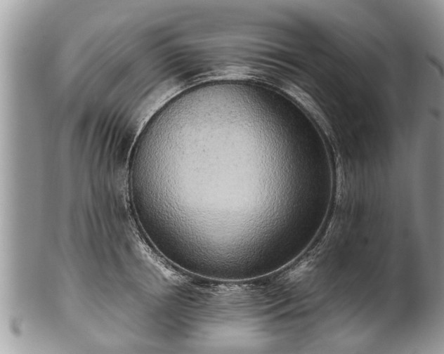 X0000102270850200808011426
