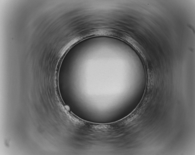 X0000102270853200808011426