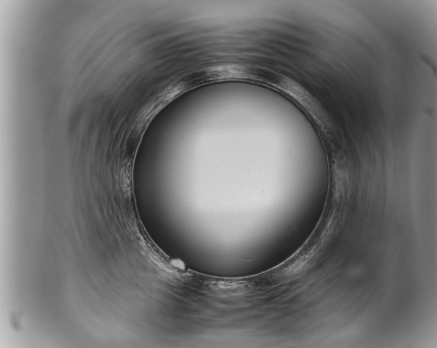 X0000102270857200808011426