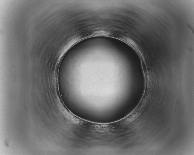 X0000102270859200808011426