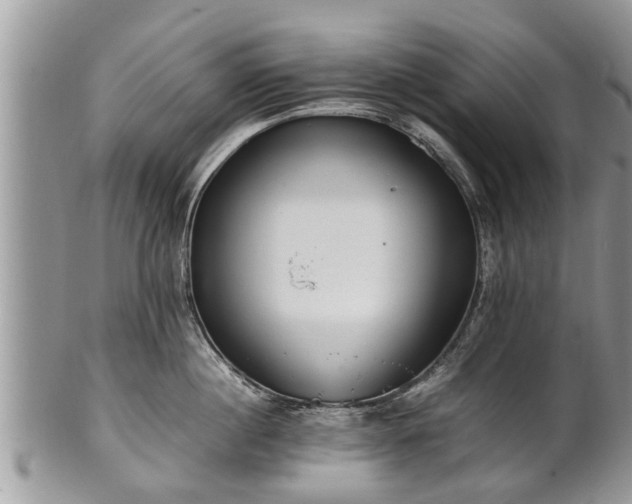 X0000102270860200808011426