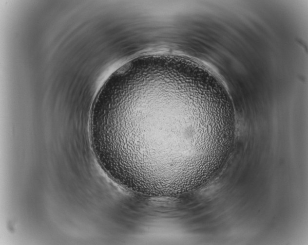 X0000102270863200808011426