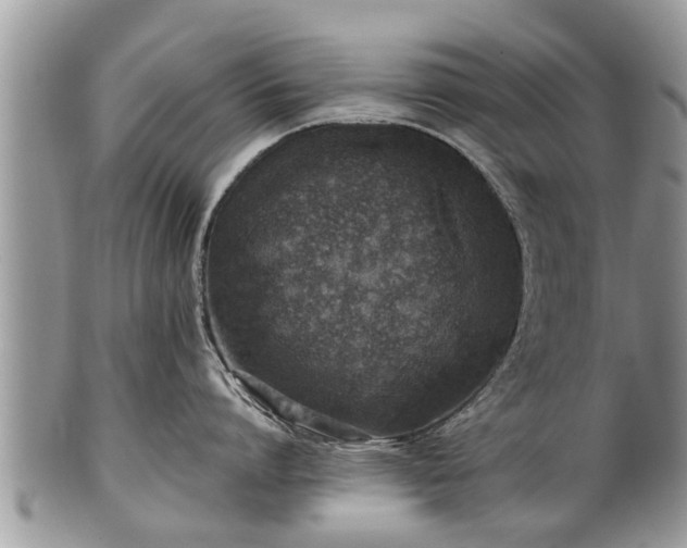 X0000102270864200808011426