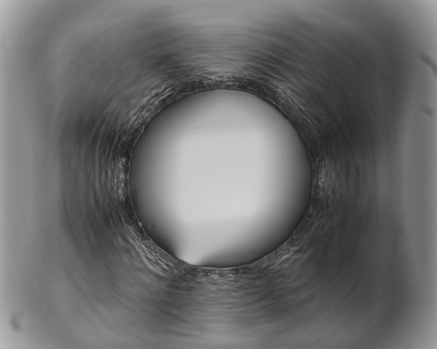 X0000102270868200808011425