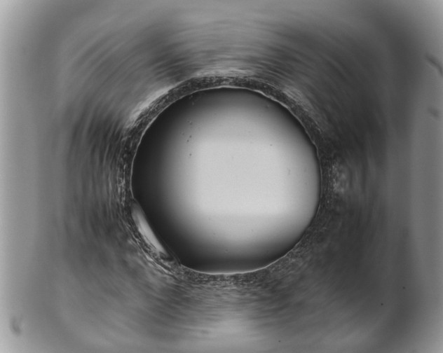 X0000102270872200808011425