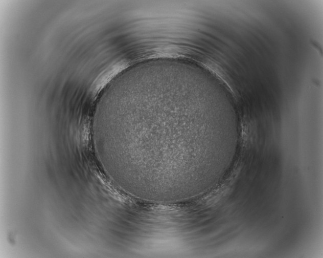X0000102270874200808011425
