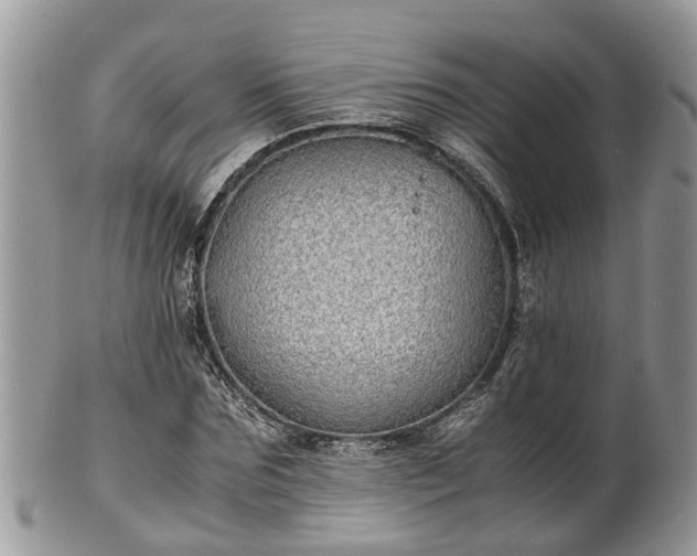 X0000102270875200808011425