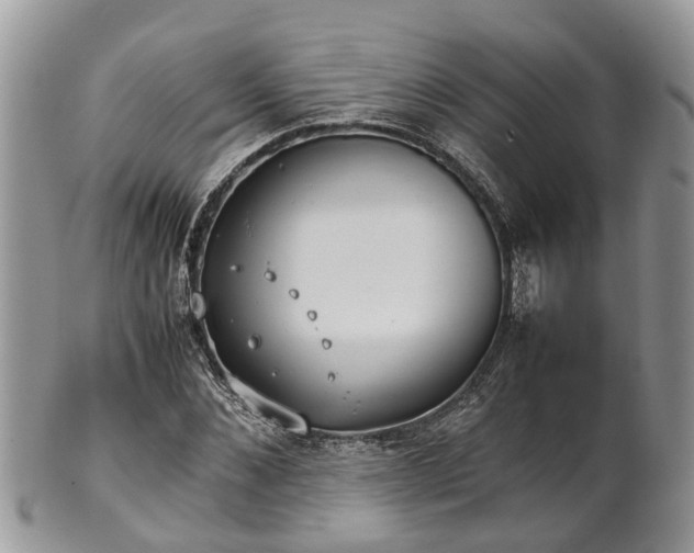 X0000102270876200808011425