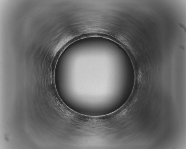 X0000102270877200808011425