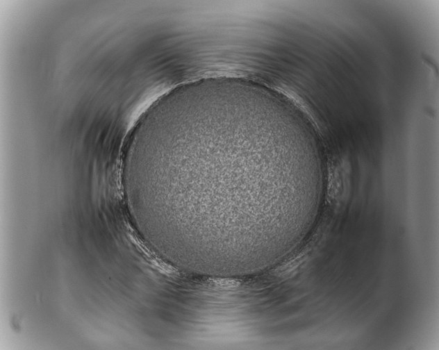 X0000102270878200808011425