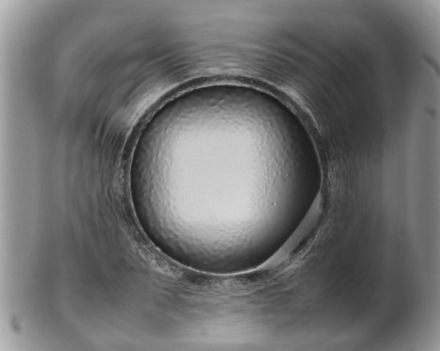 X0000102270879200808011425