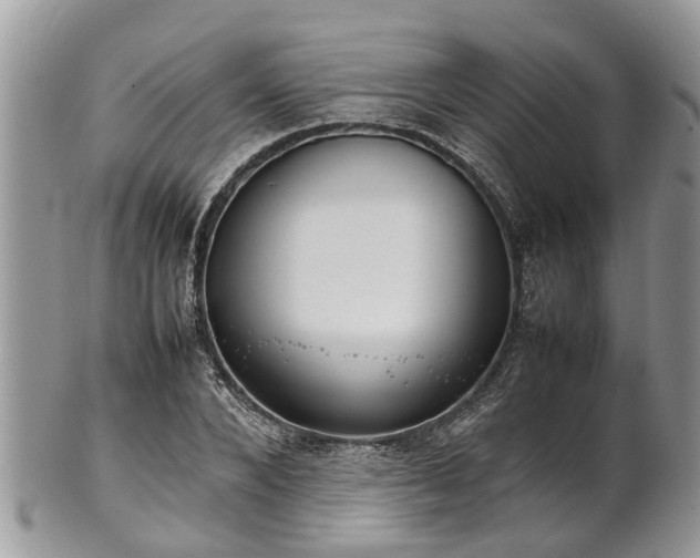 X0000102270880200808011425