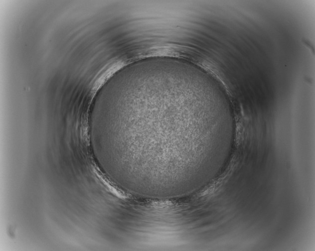 X0000102270882200808011425