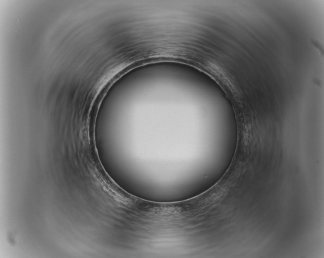 X0000102270884200808011425