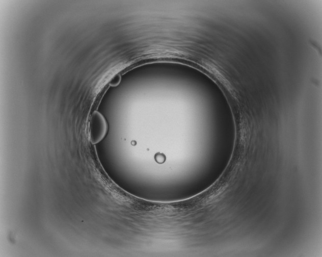 X0000102270885200808011425