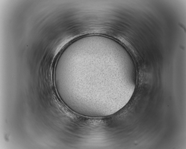 X0000102270886200808011425