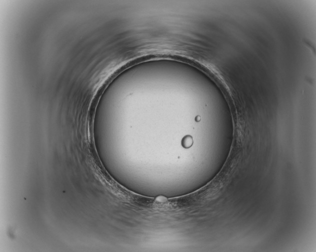 X0000102270887200808011425