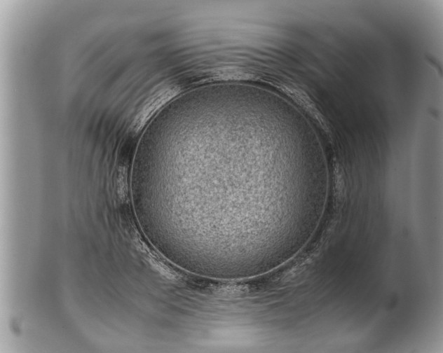 X0000102270889200808011425