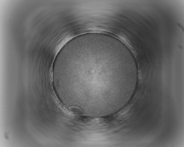 X0000102270891200808011425