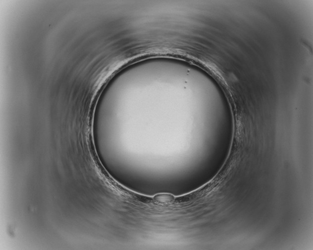 X0000102270895200808011425