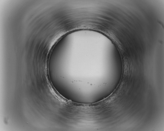 X0000102270896200808011425