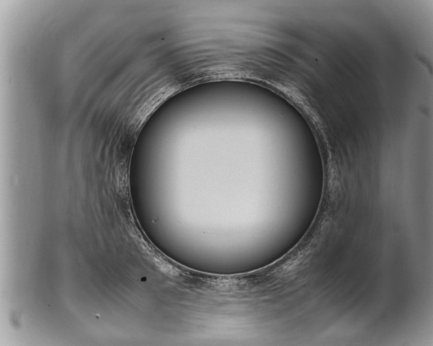 X0000102270897200808011425